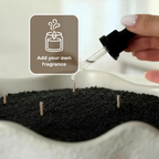 Eucalyptus Fragrance (10mL) - LUMEN