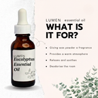 Eucalyptus Fragrance (10mL) - LUMEN